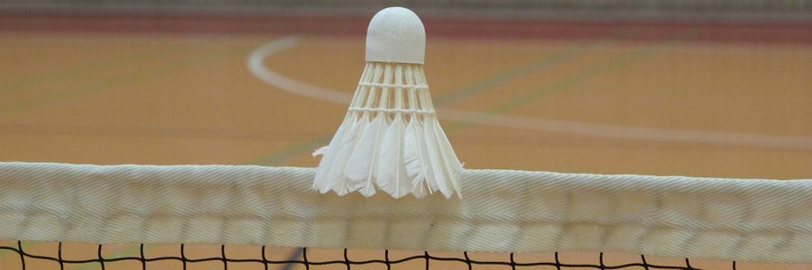 badminton3.jpg